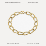 צמיד חוליות - features