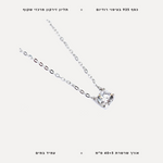 שרשרת זירקון - features