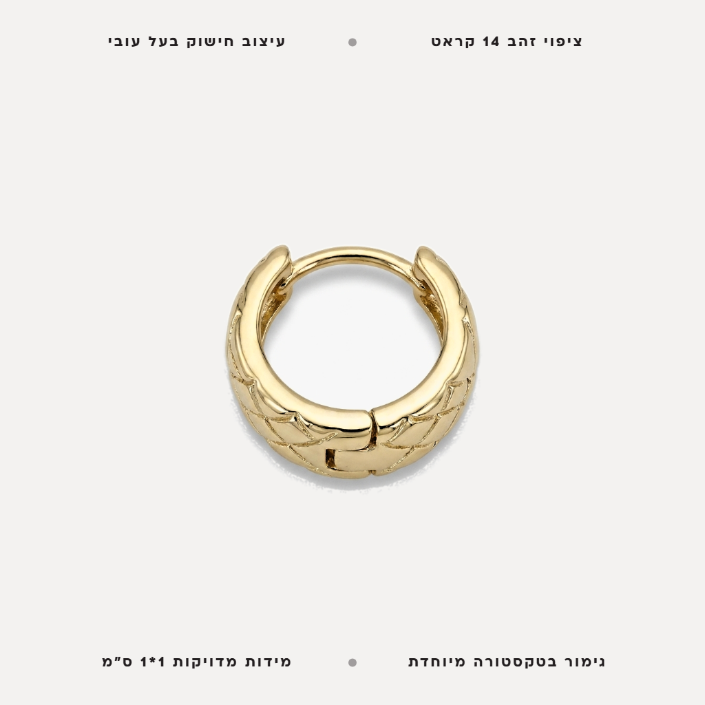 עגילי חישוק - features