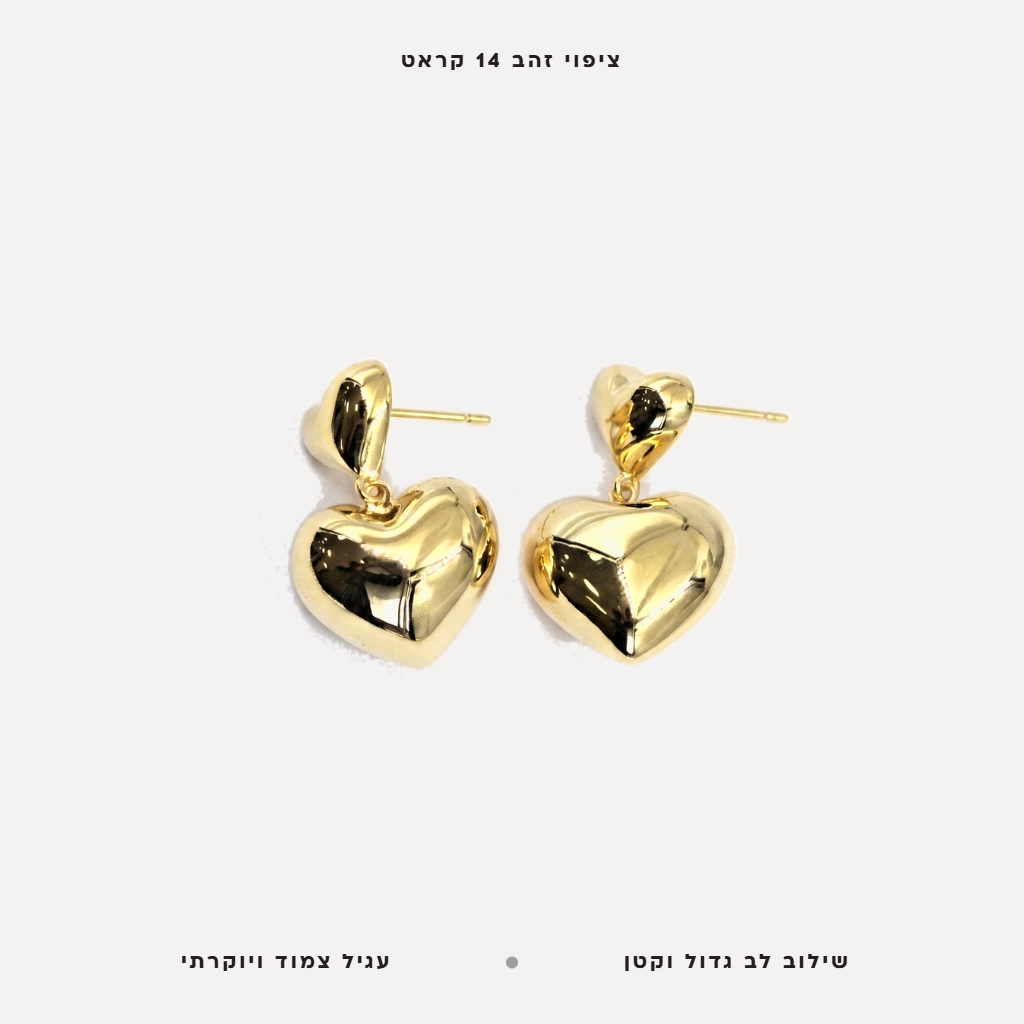 עגיל לב - features