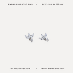 עגילי כסף עלים עדינים - features