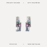 עגילי כסף אבני זירקון בגווני מולטי - features