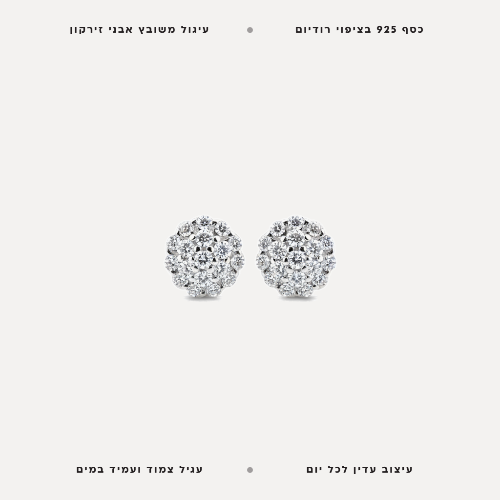 עגילי כסף עיגול משובץ - features