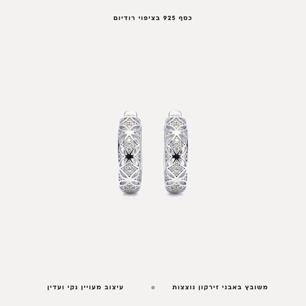 עגילי כסף מעויינים - features