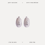 עגילי כסף משובצים באבני זירקון - features