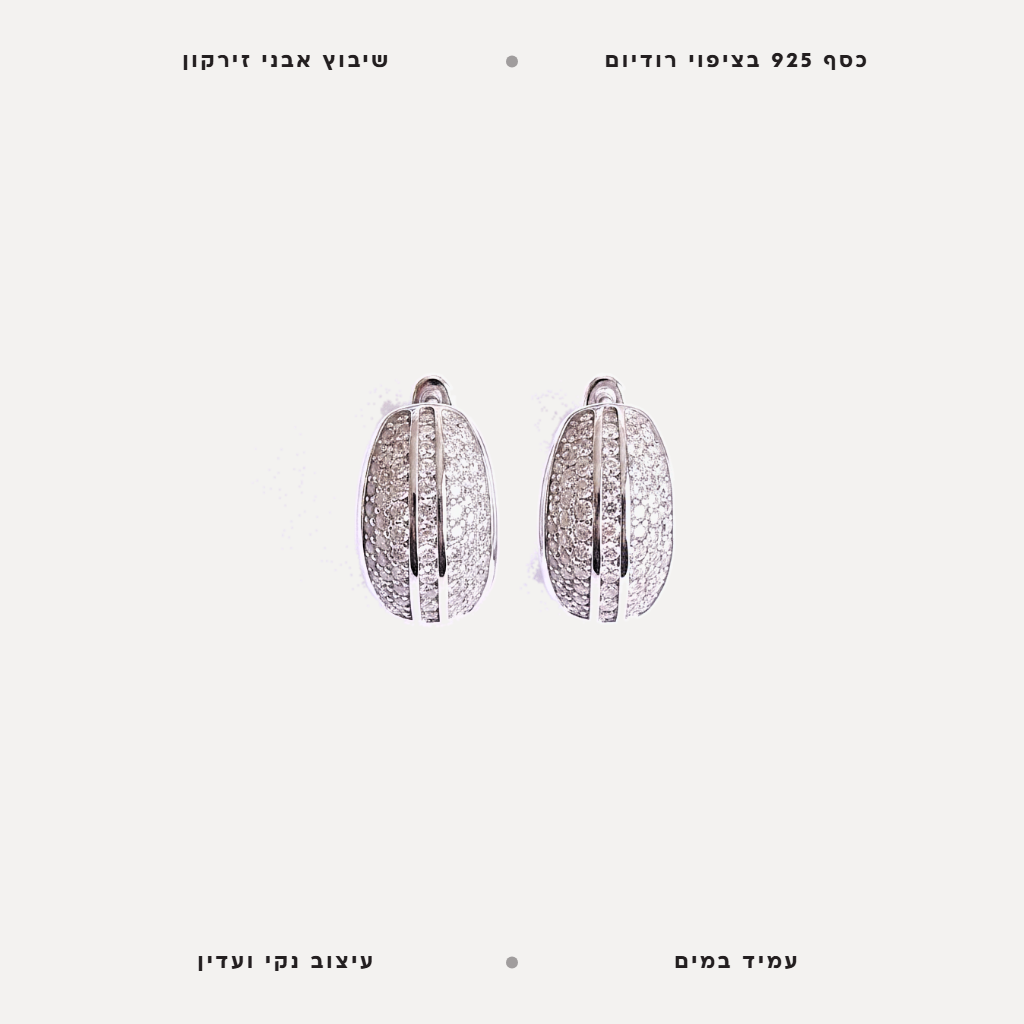 עגילי כסף משובצים באבני זירקון - features