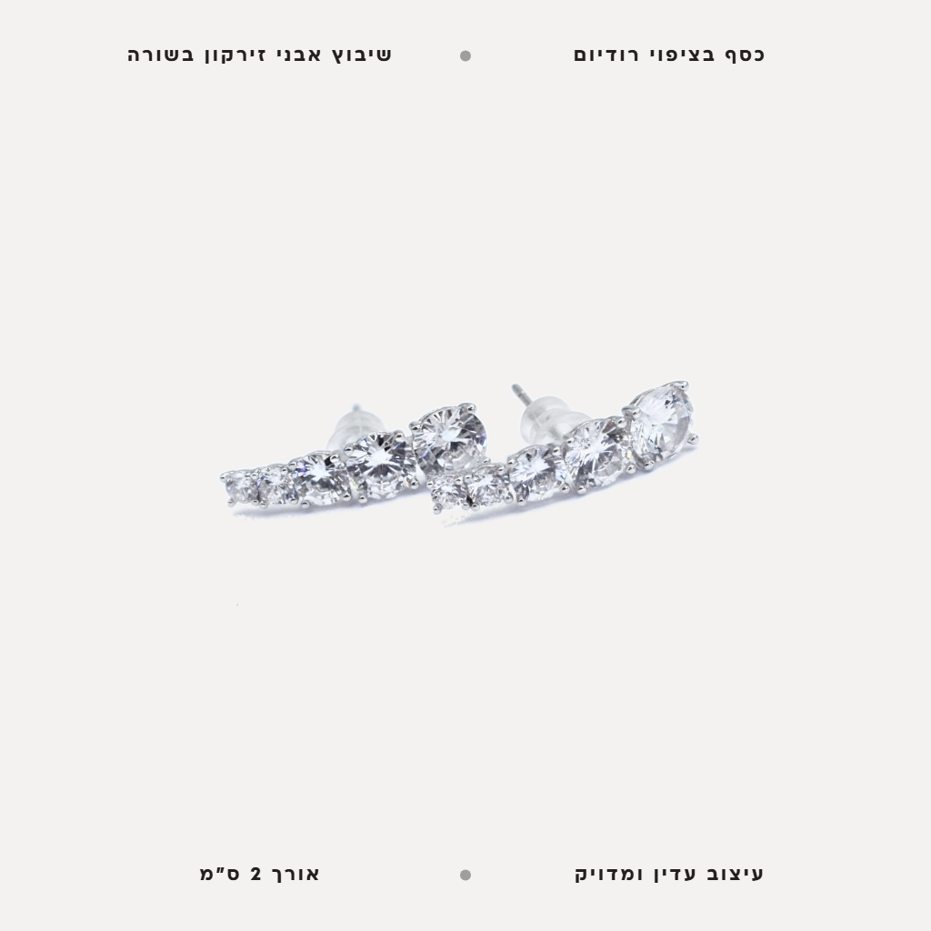 עגילי כסף אבני זירקון בשורה - features