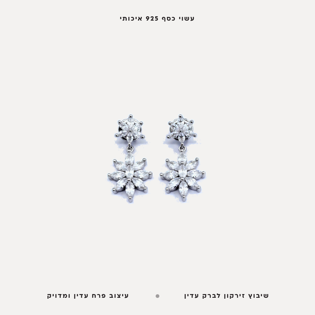 עגילי כסף פרחים משובצים - features
