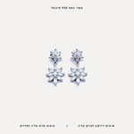 עגילי כסף פרחים משובצים - features