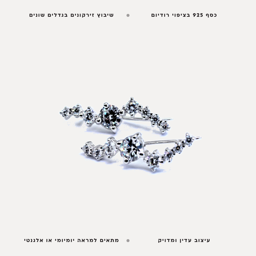 עגילי כסף זירקונים בגדלים שונים - features