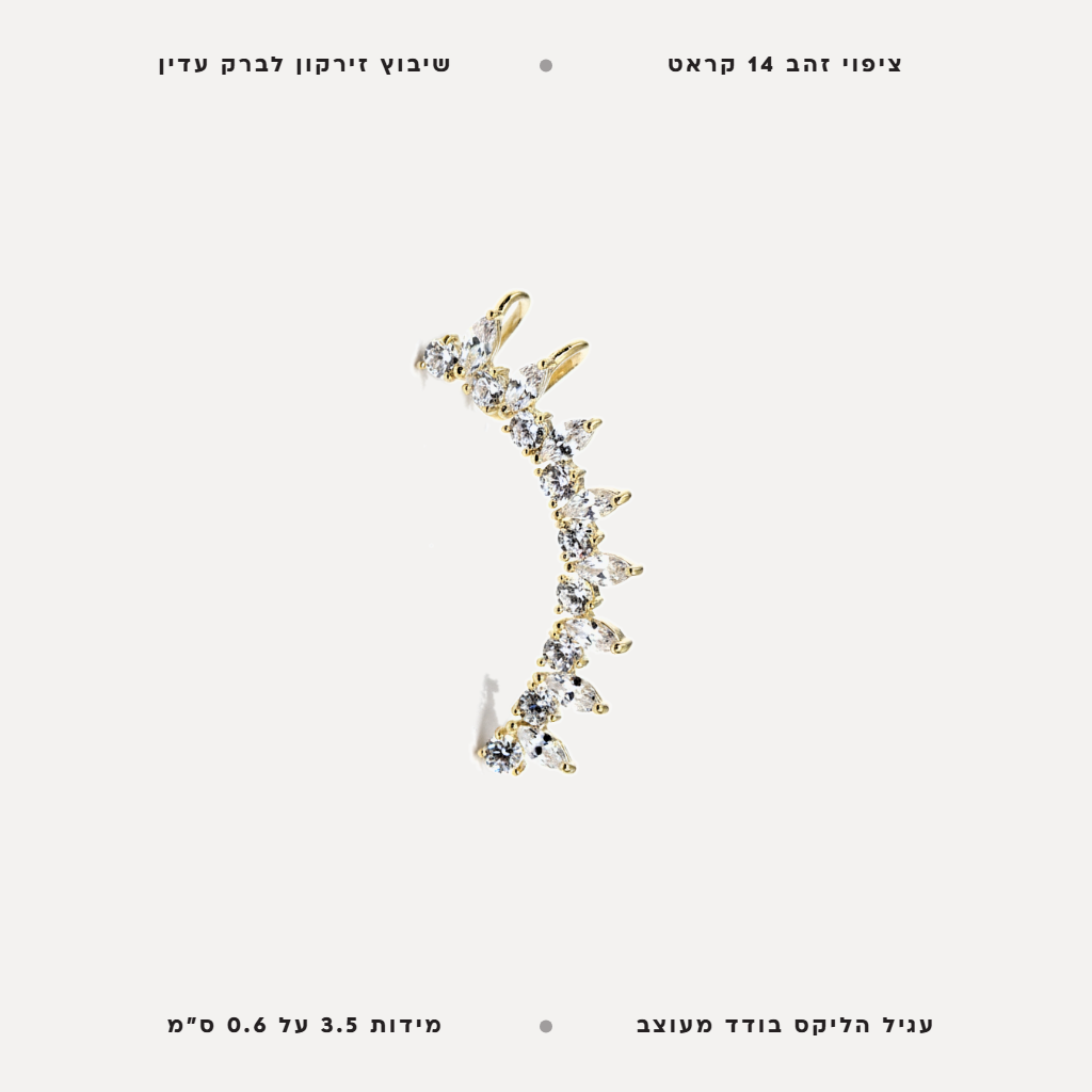 עגיל ציפוי זהב הליקס - features