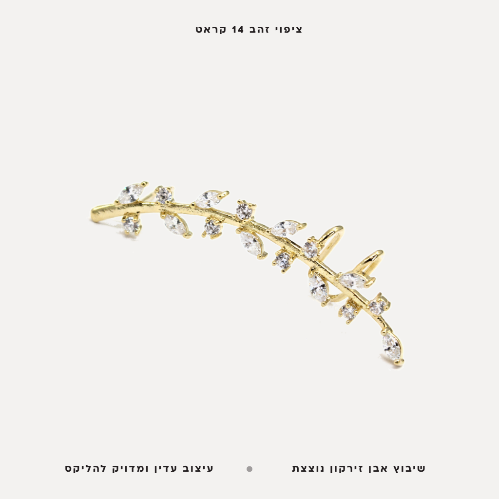 עגיל ציפוי זהב הליקס - features