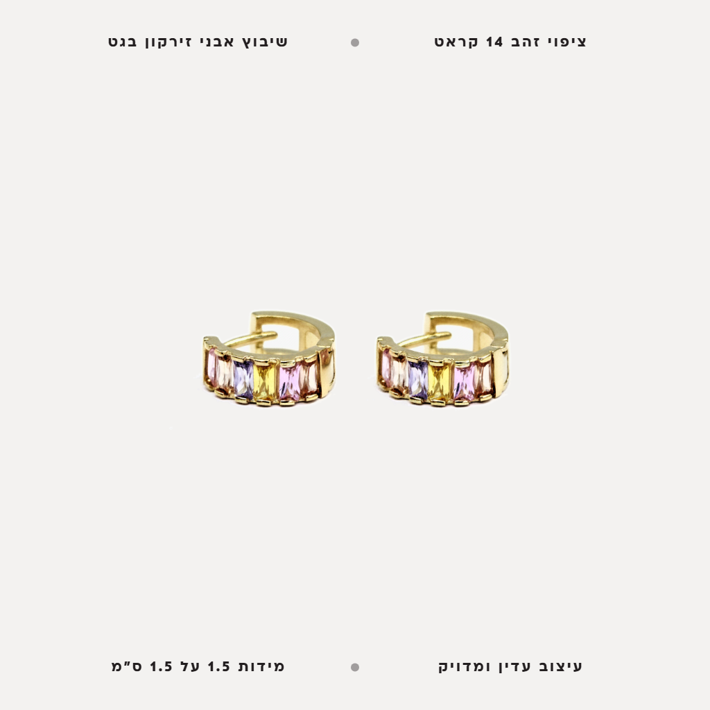 עגילי ציפוי זהב אבני בגט - features