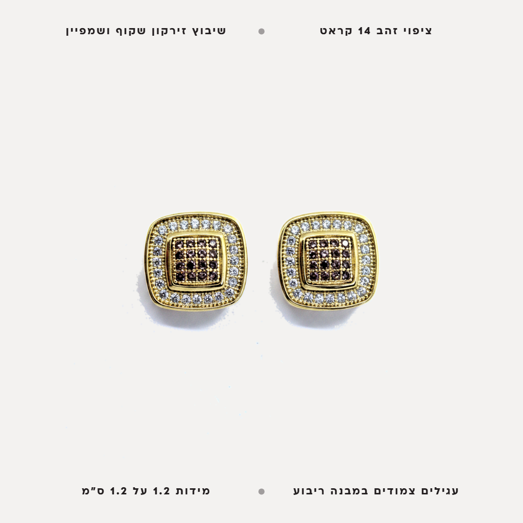 עגילי ציפוי זהב ריבוע משובץ - features
