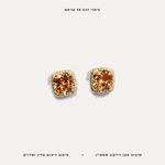 עגילי ציפוי זהב רובוע שמפיין - features