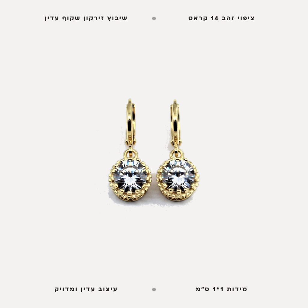 עגילי ציפוי זהב זירקון עגול - features