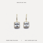 עגילי ציפוי זהב זירקון - features