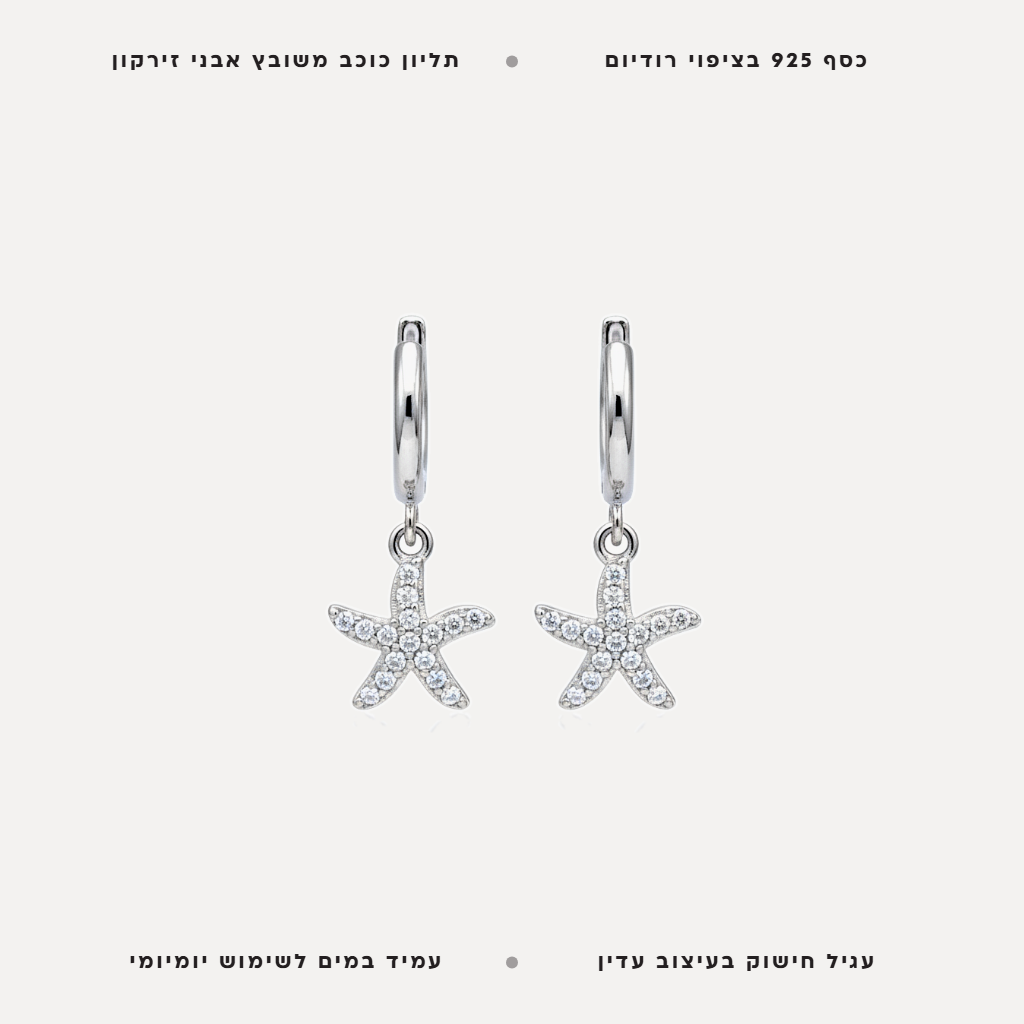 עגילי כסף כוכבים - features