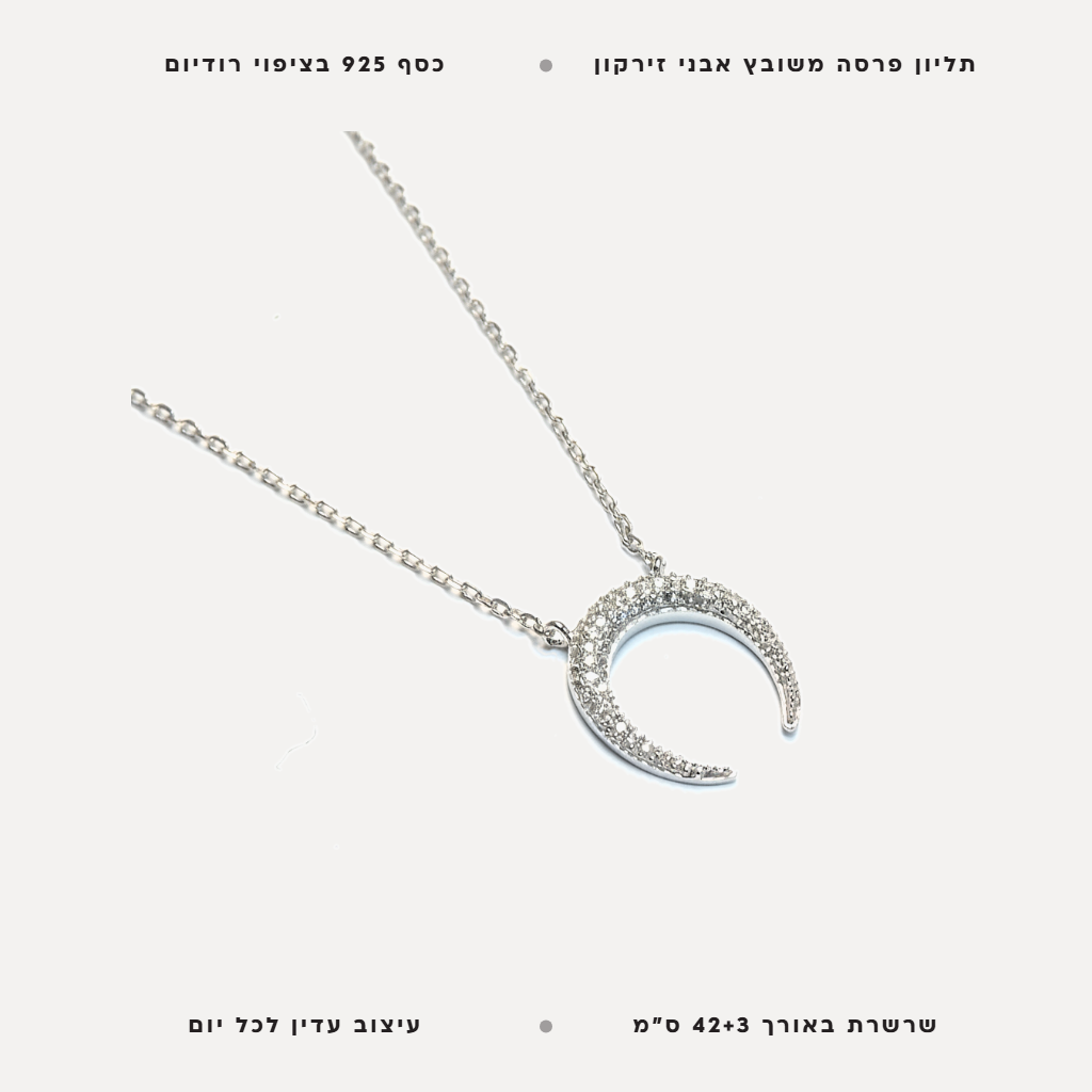 שרשרת כסף פרסה - features