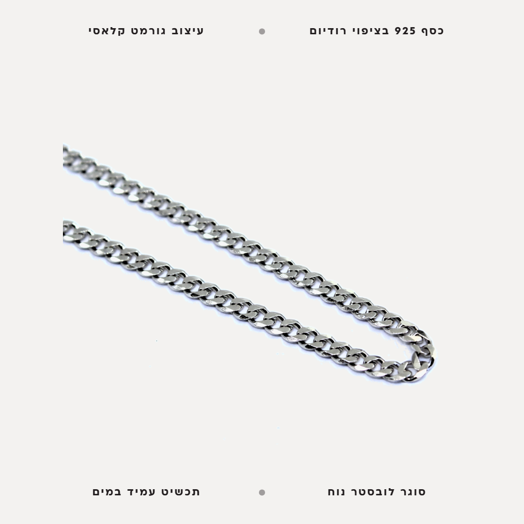 שרשרת כסף גורמט - features