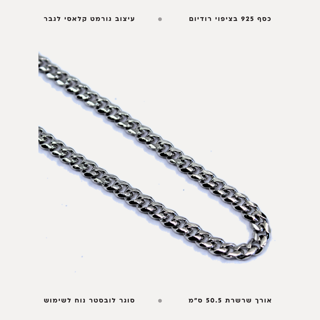 שרשרת כסף גורמט - features
