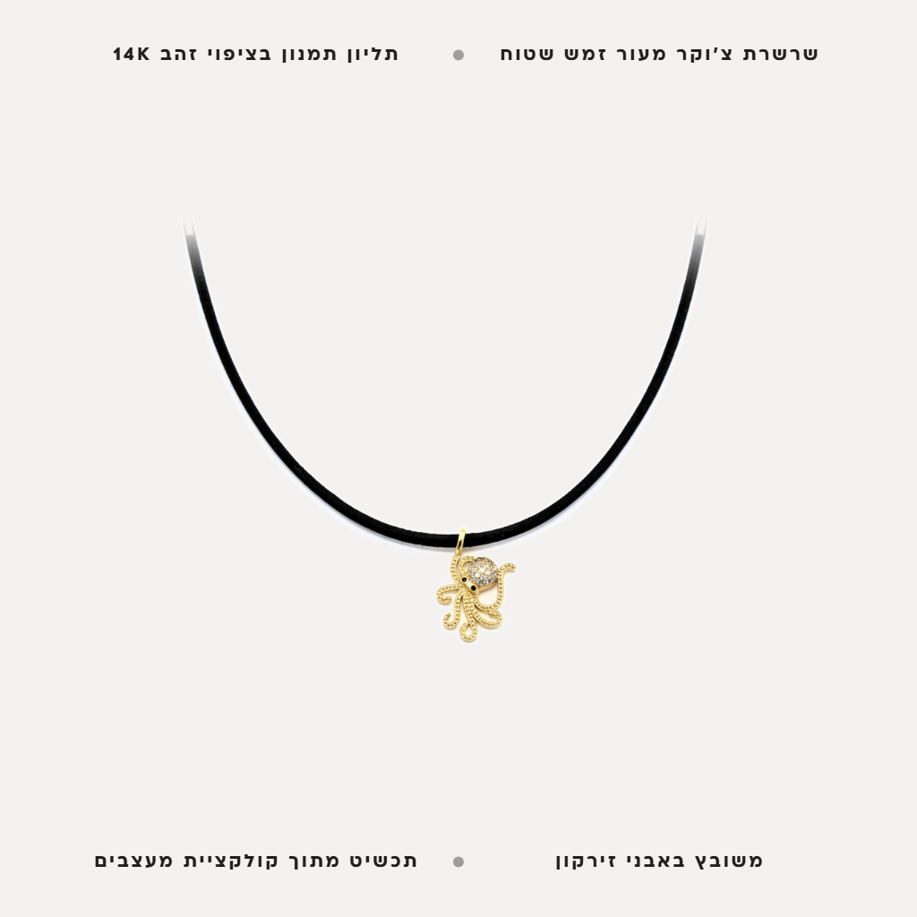 שרשרת תמנון - features