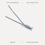 שרשרת כסף דג - features