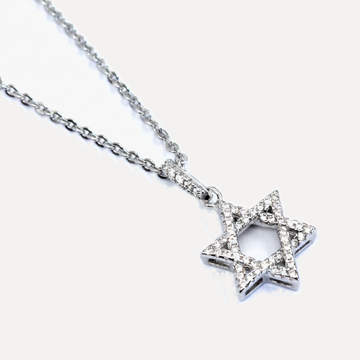 שרשרת כסף מגן דוויד - flat lay