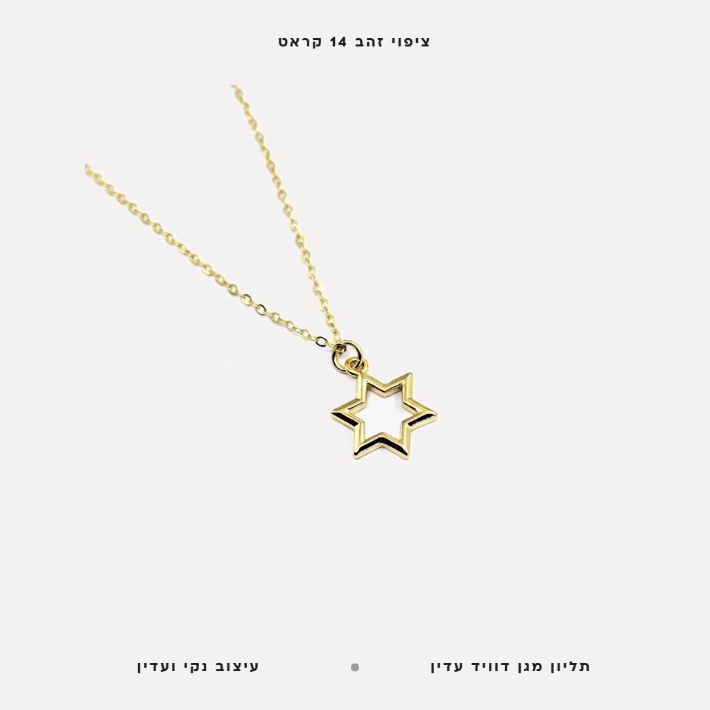 שרשרת ציפוי זהב מגן דוויד - features