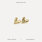 עגיל לב - features