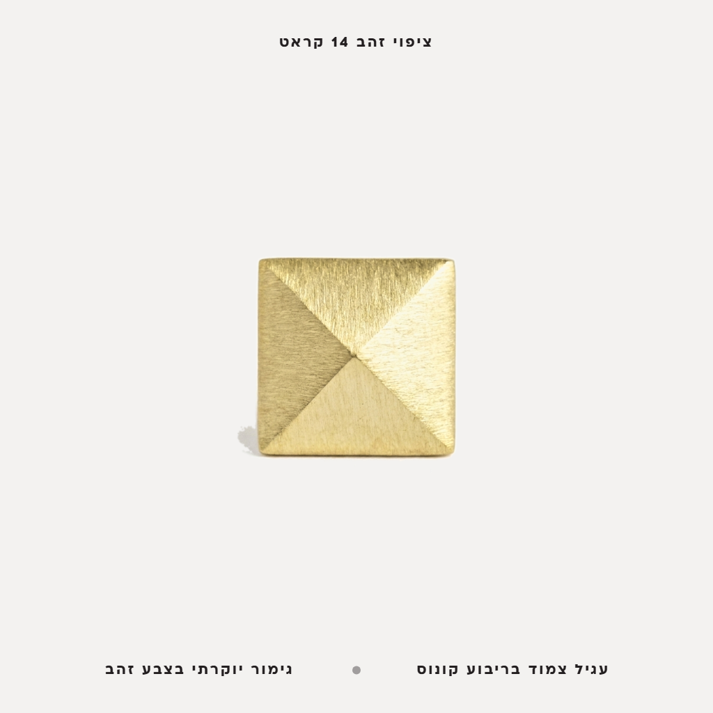 עגיל צמוד מצופה - features