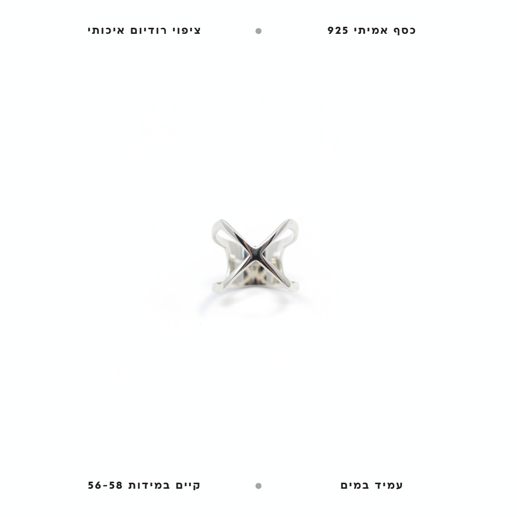 טבעת כסף - features