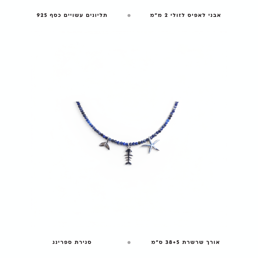 שרשרת חלקי ים - features