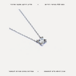 שרשרת זירקון - features