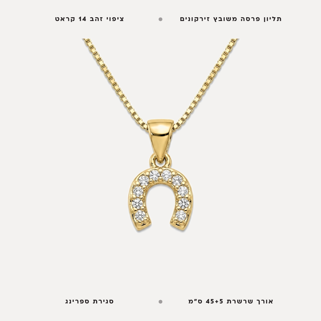 שרשרת תליון פרסה - features